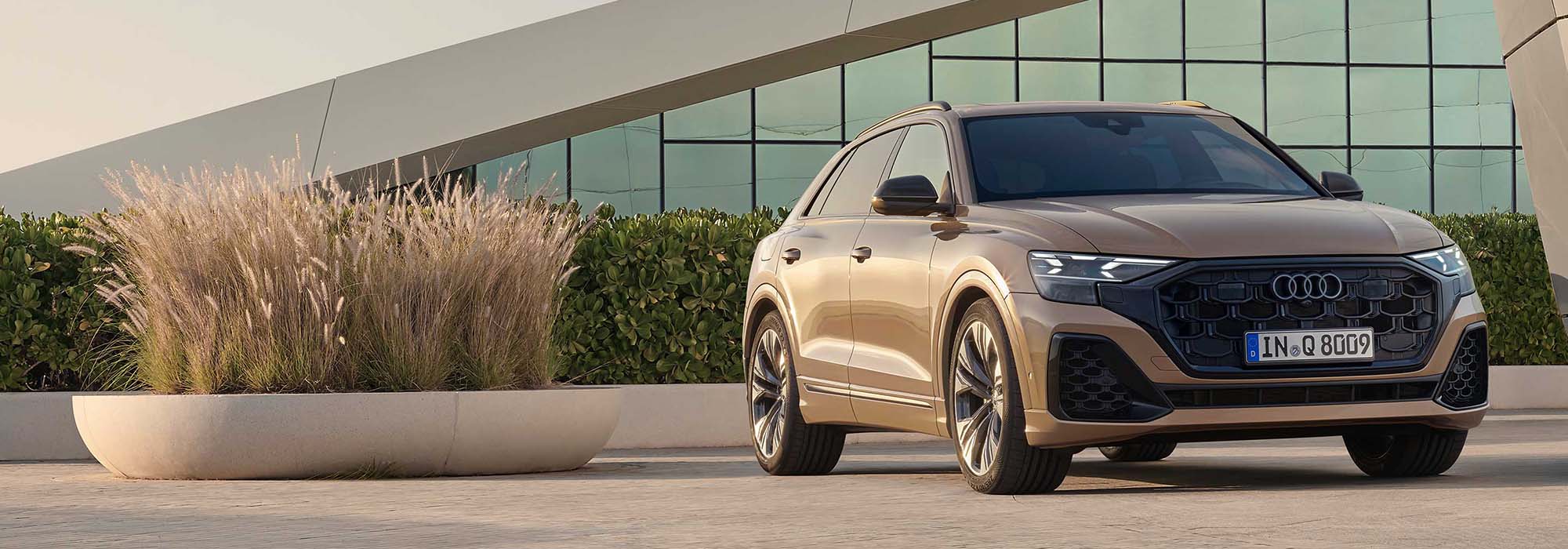 Audi Q8 SUV 50 TDI quattro  tiptronic