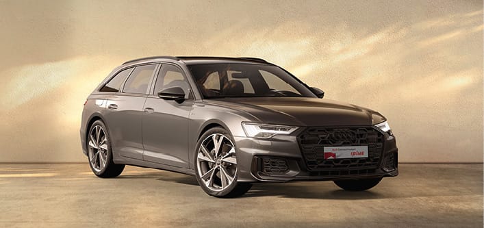 26-02-25_GW-plus-Frühling_Textbild2 530x250px.jpg