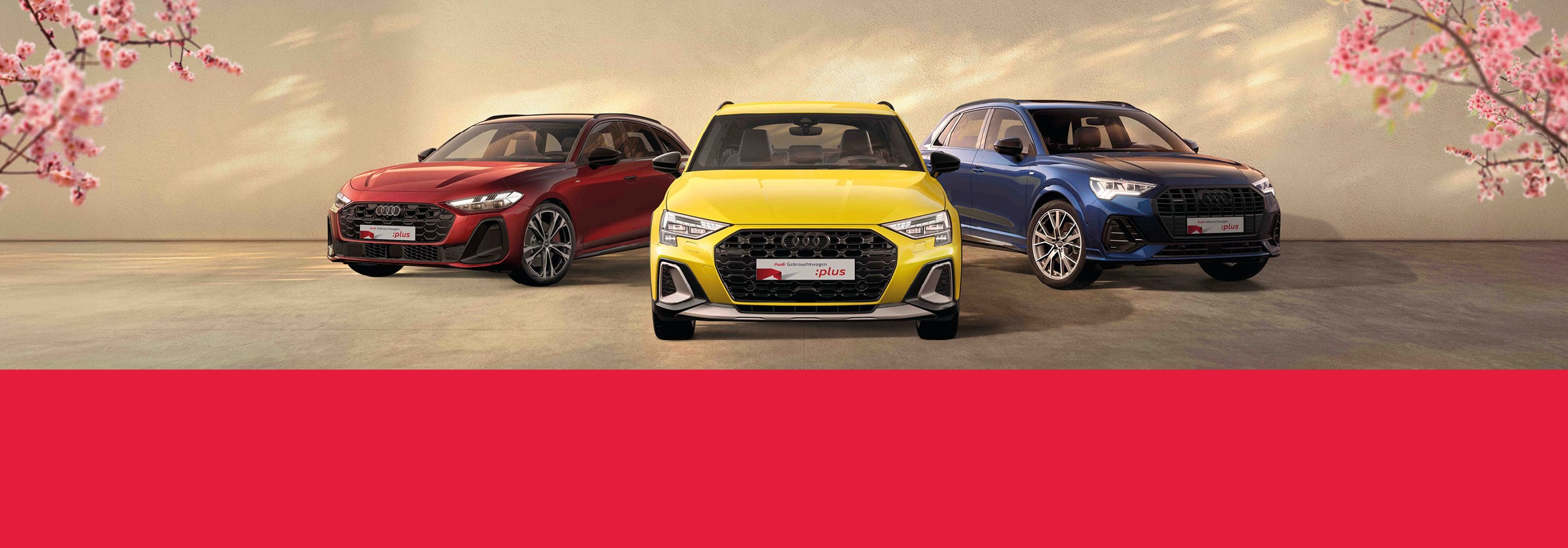 Audi Gebrauchtwagen :plus