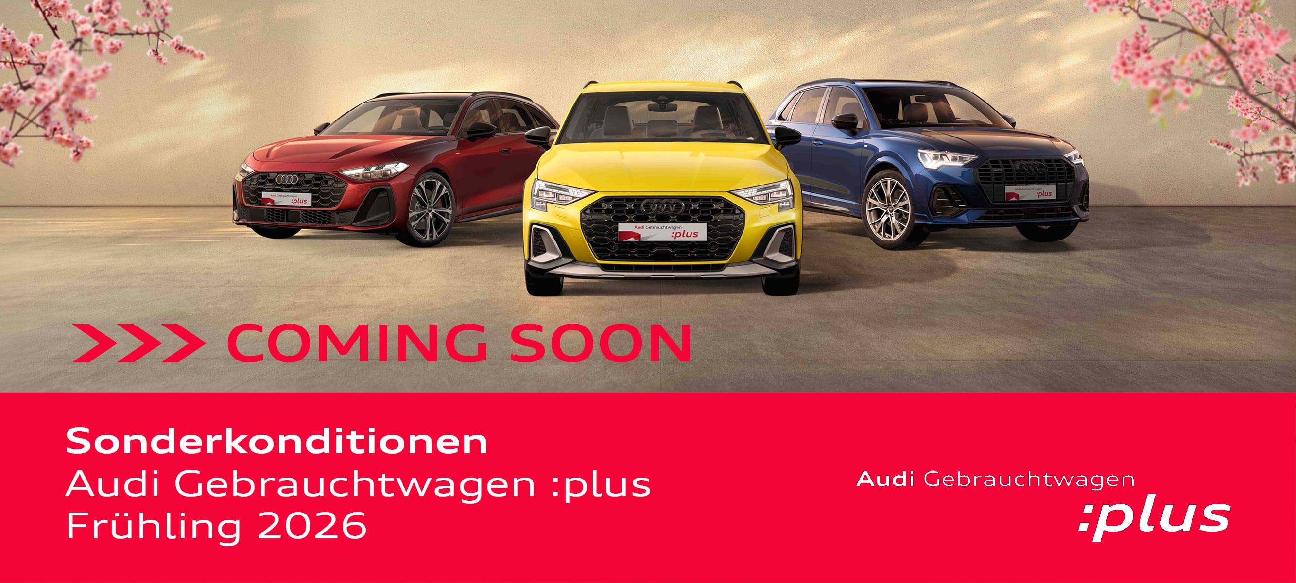 26-02-25_GW-plus-Frühling_News 2000x1000px_Coming Soon.jpg