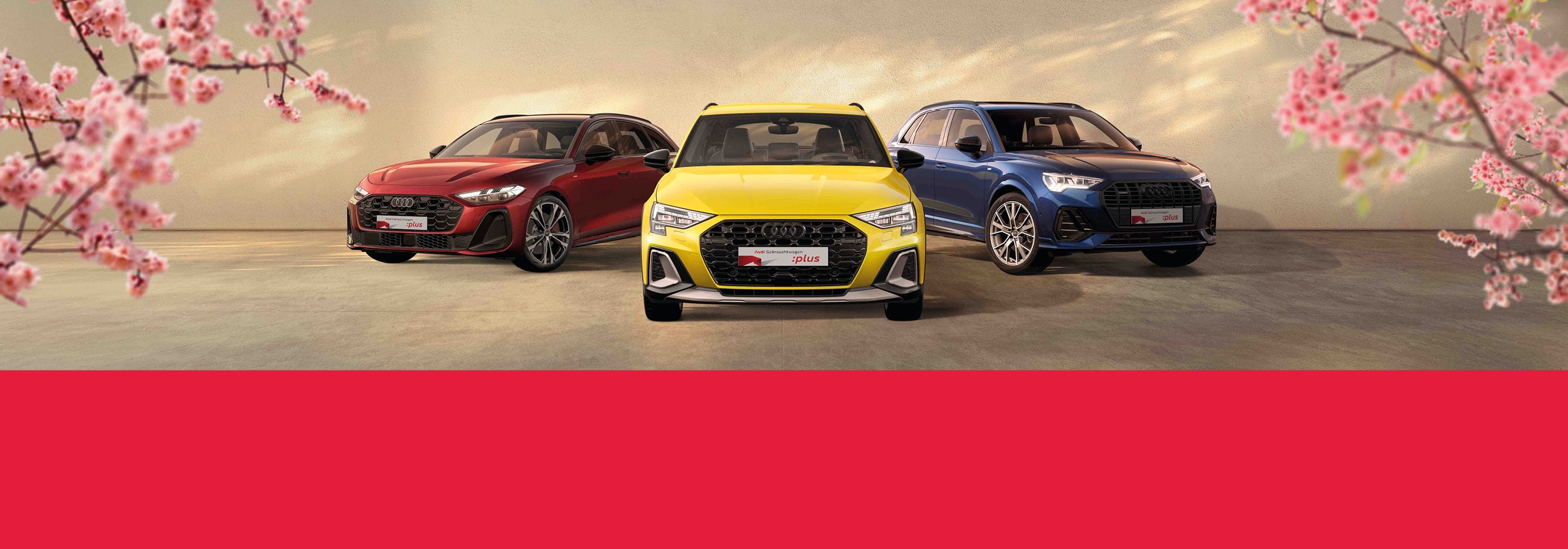 Coming Soon: Audi Gebrauchtwagen :plus Wochen Frühling