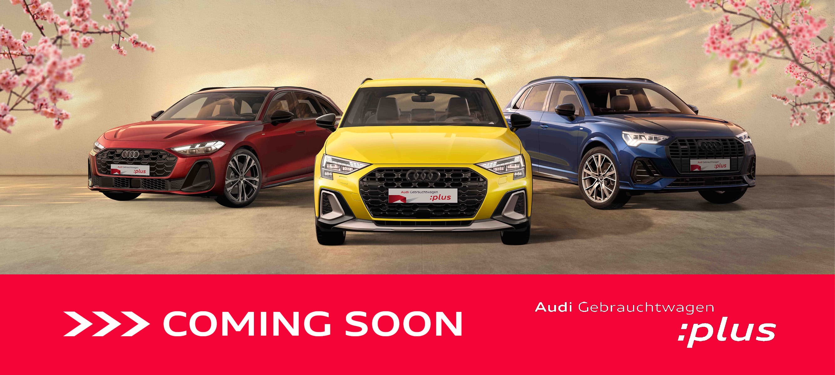 26-02-25_GW-plus-Frühling_News 2000x1000px_Coming Soon2.jpg