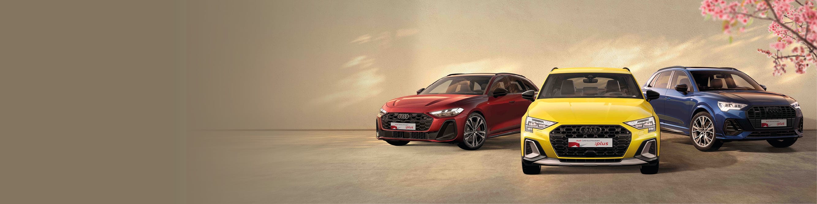 26-02-25_GW-plus-Frühling_Herobild-Startseite 2000x500px.jpg